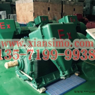 YB2-4504-6 500KW 6KV IP54 ExdⅡBT4 Gb隔爆型防爆電機(jī)