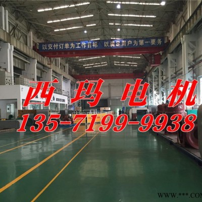 YB2-4503-2 630KW 6KV IP54 ExdⅡBT4 Gb隔爆型防爆電機