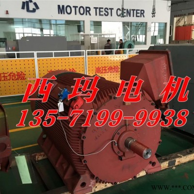 YB2-4502-4 560KW 6KV IP54 ExdⅡBT4 Gb隔爆型防爆電機