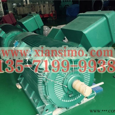 YB2-5002-4 900KW 6KV IP54 ExdⅡBT4 Gb隔爆型防爆電機