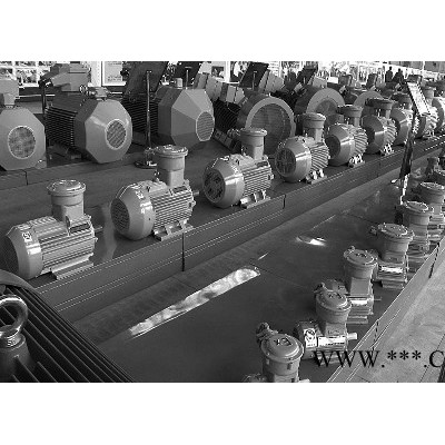 防爆電機(jī) 嘉沐斯 電機(jī)廠家 防爆電機(jī) YB802-2 功率：1.1kw