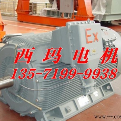 化工廠用防爆電機(jī)YBX2-5003-2 1000KW 6KV