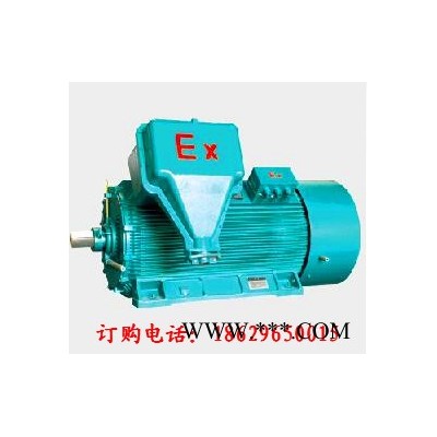 西瑪高壓防爆電機(jī)YB2-4501-2廠價(jià)直銷