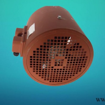 G系列變頻電機(jī)冷卻風(fēng)扇G-112A