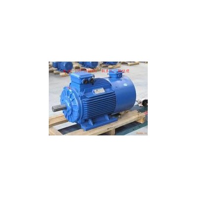 （YBPT-315L2-2 200kW 2極）防爆變頻電機
