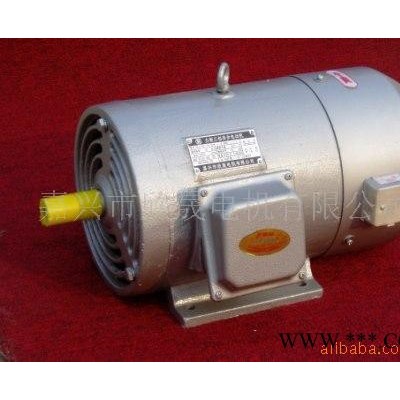 三相力矩電機(jī)YLJ90-4Nm-6/B5 變頻電機(jī)