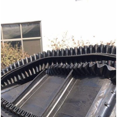 Z型皮帶輸送機防爆電機 糧食專用輸送機