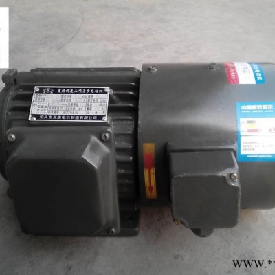 滄州電機(jī)廠YVP系列變頻電機(jī)Y100L2-4/級(jí)3.0KW