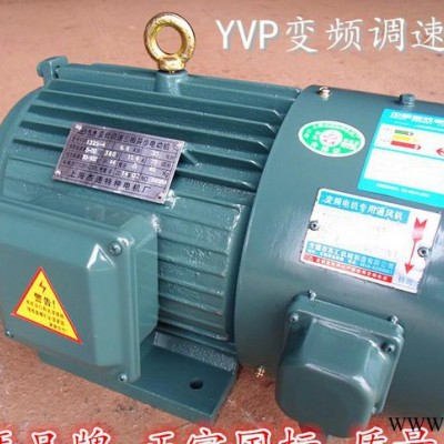 Y2VF/Y2VP 變頻調(diào)速馬達(dá)/YVP變頻電機(jī)YVP90L-6   1.1KW【全銅】