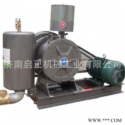 啟正HCC150C滑片式風(fēng)機 HCC回轉(zhuǎn)風(fēng)機 支持防爆電機定制