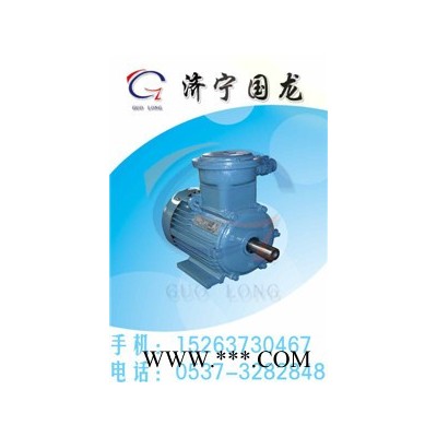 供應(yīng)YB2系列電機(jī)防爆電機(jī)