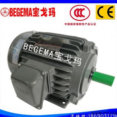 成都促銷臺灣東元電機(jī)TECO馬達(dá)AEEF鑄鐵電機(jī)防爆電機(jī)1.5kw