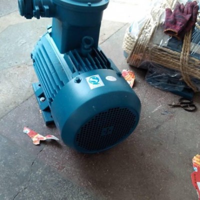 YB2防爆電機30kw-2  三相異步隔爆型電機