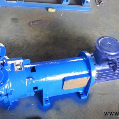水環(huán)式真空泵2BV6-110（鑄鐵材質(zhì)，防爆電機(jī)）