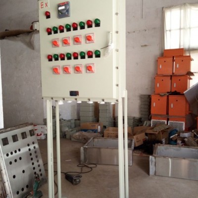 浙創(chuàng)防爆電機(jī)軟啟動(dòng)保護(hù)防爆控制柜