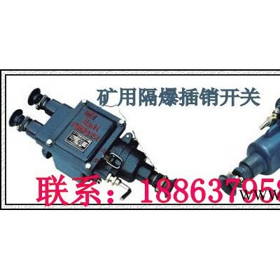供應(yīng)濟(jì)寧德海BGK隔爆插銷開關(guān)，防爆電機(jī)插銷開關(guān)