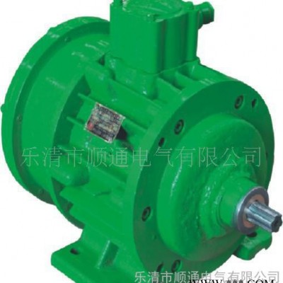 廠家批發(fā)生產(chǎn)微型防爆電機(jī)YB02-12-2