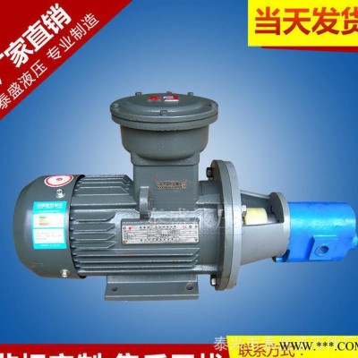 定制WBZ-B25FB臥式電動(dòng)齒輪泵 齒輪油泵防爆電機(jī)組