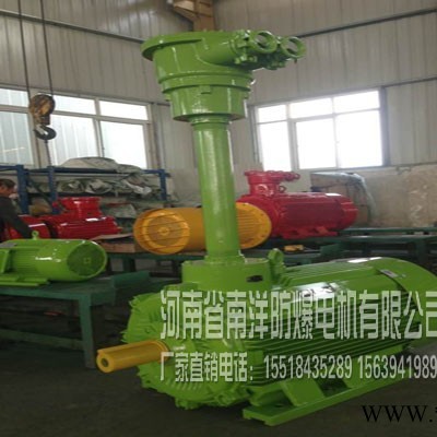 供應(yīng)南洋防爆電機(jī)YBS-22-4皮帶輸送機(jī)防爆電機(jī)生產(chǎn)廠家