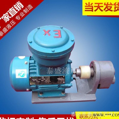 **WBZ-B16FB齒輪油泵防爆電機(jī)組 電動(dòng)油泵液壓管道泵