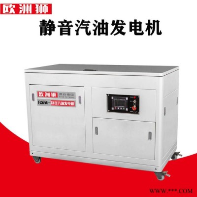 歐洲獅30千瓦汽油發(fā)電機(jī)接線柱保護(hù)