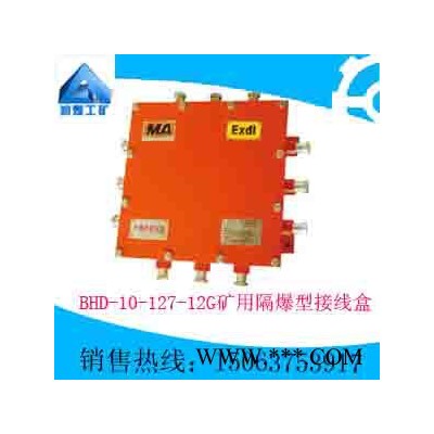 BHD-10/127-12G礦用隔爆型接線盒   質(zhì)量?jī)?yōu)良  自產(chǎn)直銷  專業(yè)設(shè)計(jì)