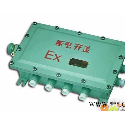 防爆接線箱 防爆接線盒 防爆開關盒 BJX-X4D4R4