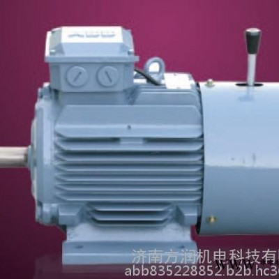 山東ABB防爆電機(jī)