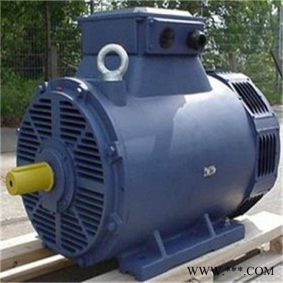 熱賣荷蘭DUTCHI中高壓電機(jī)