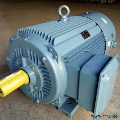 澤恩  YVP2變頻電機(jī)   YKK高壓電機(jī)   工業(yè)用 風(fēng)機(jī) 煤礦化工用電機(jī) 品質(zhì)保證