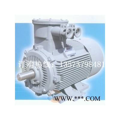 (YB3-315L1-2 160kW 2極) 防爆電機 高效