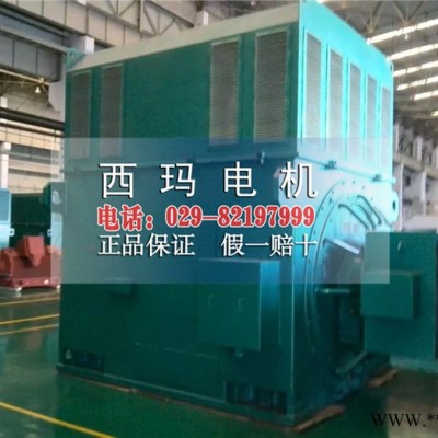 YR7107-12 1000KW 10kv高壓電機(jī) 大型臥式繞線電機(jī)