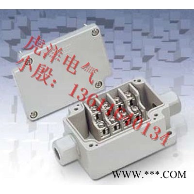 精巧型鑄鋁接線(xiàn)盒，結(jié)構(gòu)美觀防護(hù)等IP68防水接線(xiàn)盒