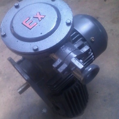 (YB2-160M1-2 11kW 2極) 防爆電機(jī) 隔爆電