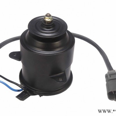 專業(yè)生產(chǎn)汽車散熱風(fēng)扇電機(jī)， 水箱電機(jī) 直流電機(jī)