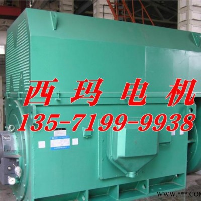 西安泰富西瑪電機(jī) Y系列Y8001-10 2240KW 6KV 高壓電機(jī)