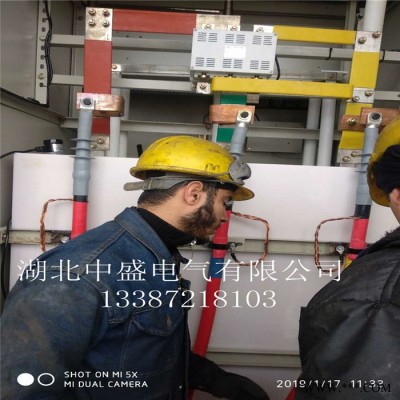 湖北中盛SYQ 高壓電機水阻柜_廠家批發(fā)繞線電機啟動配電箱