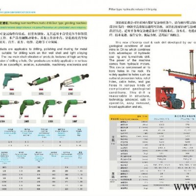 澤龍ZQBD-1-2直流牽引電機，牽引電動機，牽引電機，直流電機