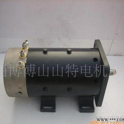 廠家專(zhuān)業(yè)低壓直流電機(jī) 多種規(guī)格 品質(zhì)保證