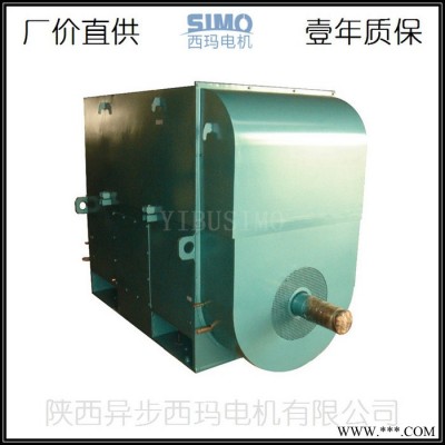 西瑪電機(jī)YKK560-2/YKK5602-2/1250KW/10KV(10000V電壓)/B3臥式安裝高壓電機(jī)