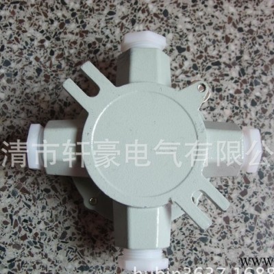 供應(yīng)AH （灰色）4分 1/2 DN15 防爆四通接線盒