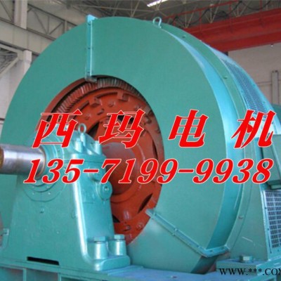 大型交流三相同步電機(jī)TDMK570-36/2900 570KW 6000V高壓電機(jī)