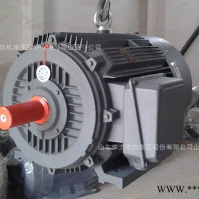 渭南華力電機(jī) 延安大中電機(jī) 銅川華力電機(jī)銷售YRKK高壓電機(jī)