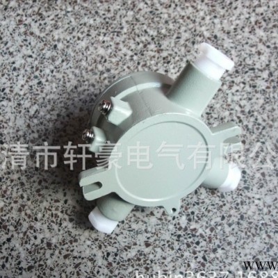 供應(yīng)軒豪6分 AH防爆帶吊接線盒 G3/4d CT6 防爆電氣