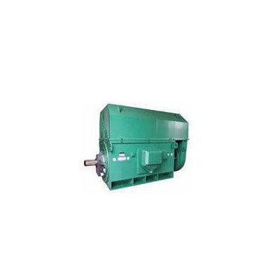 高壓電機(jī)YKS系列YKS6303-2 3150KW 6KV空水冷卻三相異步電動(dòng)機(jī)