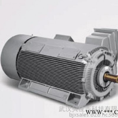 Siemens/西門子高壓電機(jī)