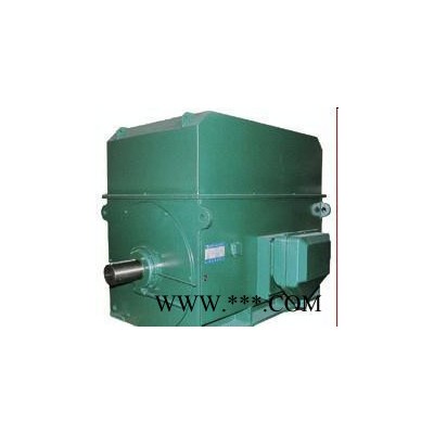 高壓電機(jī)型號(hào)YKS系列YKS5003-2 1400KW 6KV三相異步電動(dòng)機(jī)