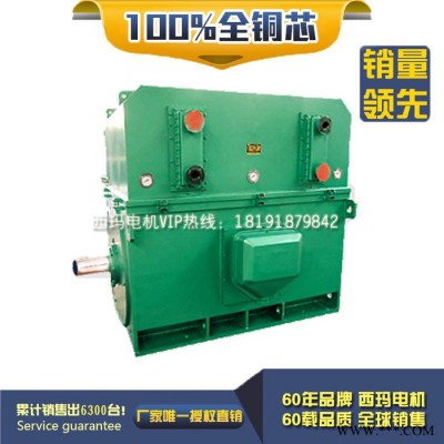 泰富西瑪YKK4001-10 160KW 380V IP54/IP44 西瑪YKK 6KV高壓電機(jī)