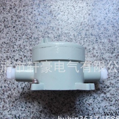 供應(yīng)軒豪6分防爆接線盒AH G3/4 CT6
