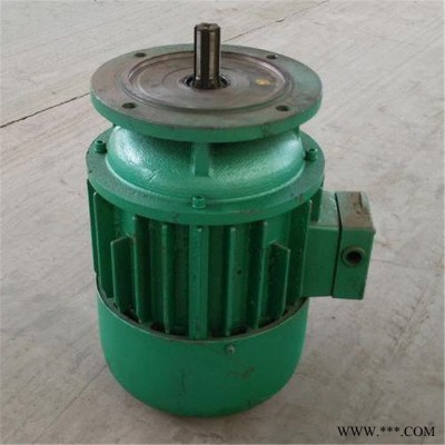 起重機(jī)用電機(jī) 各種電機(jī) 行車(chē)電機(jī)